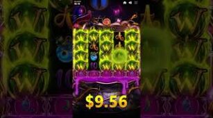 Beriched max win video 1