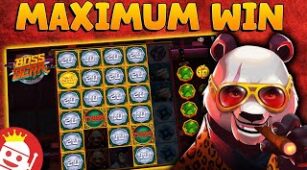 Boss Bear max win video 2