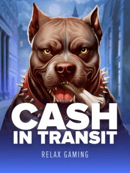 Cash In Transit