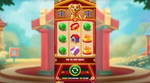 Cachorro Sortudo demo play free 1