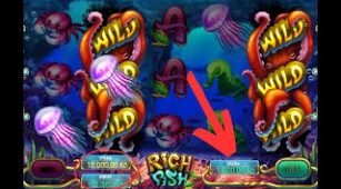Rich Fish max win video 1