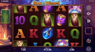 Book Of Wizard demo play free 2