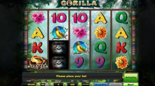 Gorilla demo play free 3