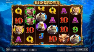 Big Brown demo play free 0