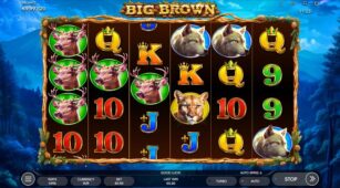 Big Brown demo play free 2