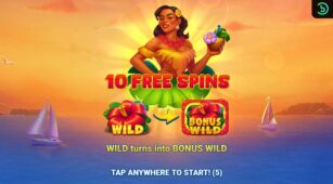 Hawaii Riches demo play free 2