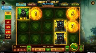 Mighty Wild: Panther Grand Diamond Edition demo play free 0