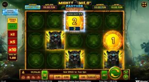 Mighty Wild: Panther Grand Diamond Edition demo play free 3