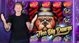 The Big Dawgs max win video 2
