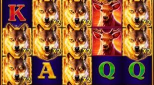 Wolf Night max win video 1