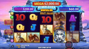 Himalayan Wild demo play free 1