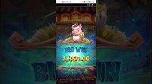 Three Crazy Piggies max win video 0