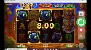 Tiger Stone max win video 1