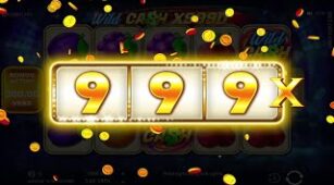 Wild Cash X9990 max win video 2