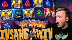 Top Dawg$ max win video 0