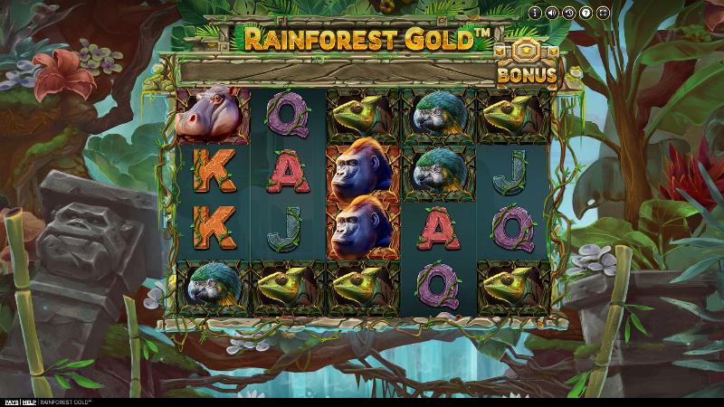 Rainforest Gold
