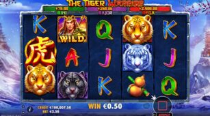 The Tiger Warrior demo play free 0