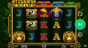 Tiger’s Gold: Hold And Win demo play free 2