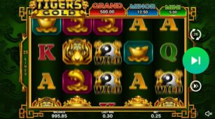 Tiger’s Gold: Hold And Win demo play free 3