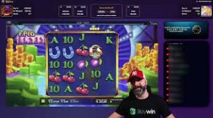 Wild Dojo Strike max win video 2