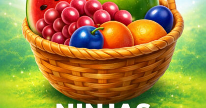 Ninja’s Garden