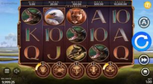 15 Armadillos demo play free 2