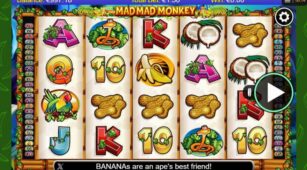 Mad Mad Monkey demo play free 1