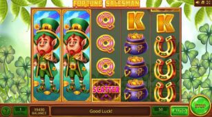 Fortune Salesman demo play free 3