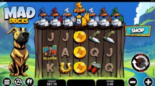 Mad Ducks demo play free 2