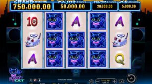 Pussy Cat demo play free 3
