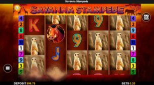Savanna Stampede demo play free 3