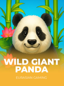 Wild Giant Panda