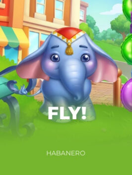Fly!