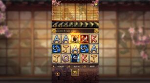 Ninja Vs Samurai demo play free 1
