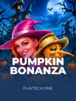 Pumpkin Bonanza