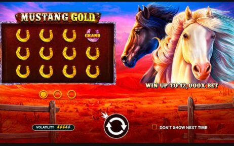Mustang Gold