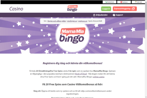 Bingo.com Casino ansvarsfullt spelande