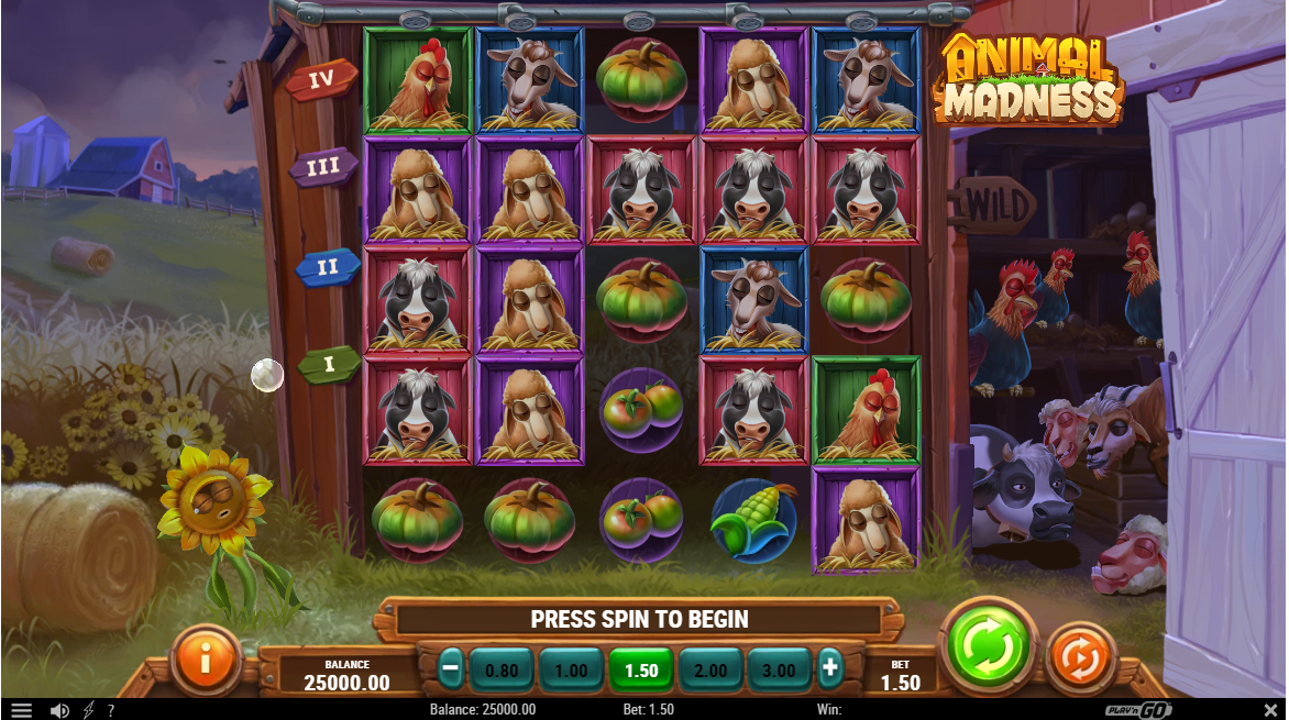 Animal Madness