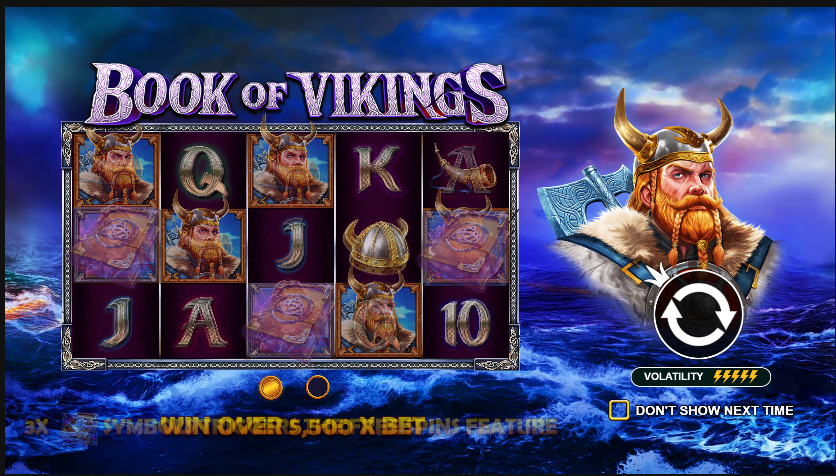 Book of Vikings
