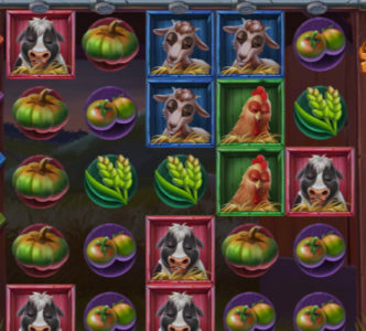 Animal Madness