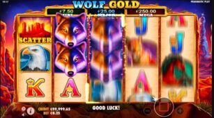 Wolf Gold demo play free 4