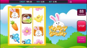Money Bunny demo play free 2