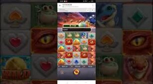 Dragon Hatch max win video 0