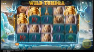 Wild Tundra demo play free 0