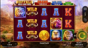 Buffalo Hold And Win demo play free 0