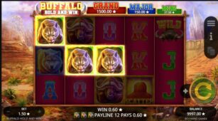 Buffalo Hold And Win demo play free 3