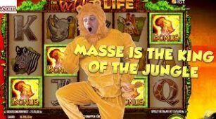 The Wild Life max win video 0