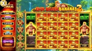 King Kong Cash Even Bigger Bananas 2 max win video 0