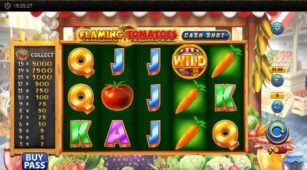 Flaming Tomatoes: Cash Shot demo play free 1