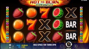 Hot To Burn Hold And Spin demo play free 3